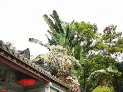 -深圳国际园林花卉博览园