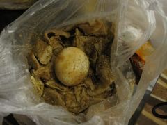 IMG_9972-老王豆皮
