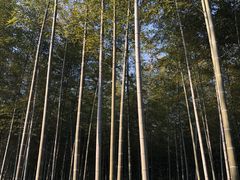 -天目湖御水温泉·度假酒店