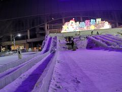 -沈阳奥体冰雪嘉年华