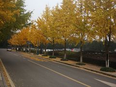-西南政法大学(渝北校区)