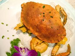 -巧克力渔家.小船海鲜家常菜(万平口店)