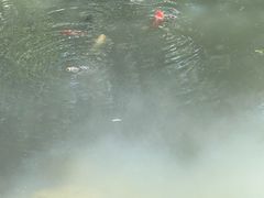 -苏州河梦清园环保主题公园