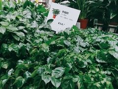 -IKEA宜家家居(南京商场)
