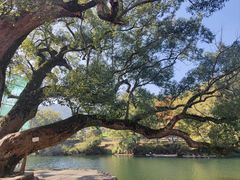 -上坦村