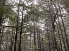 -雾灵西峰