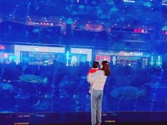 -成都浩海立方海洋公园