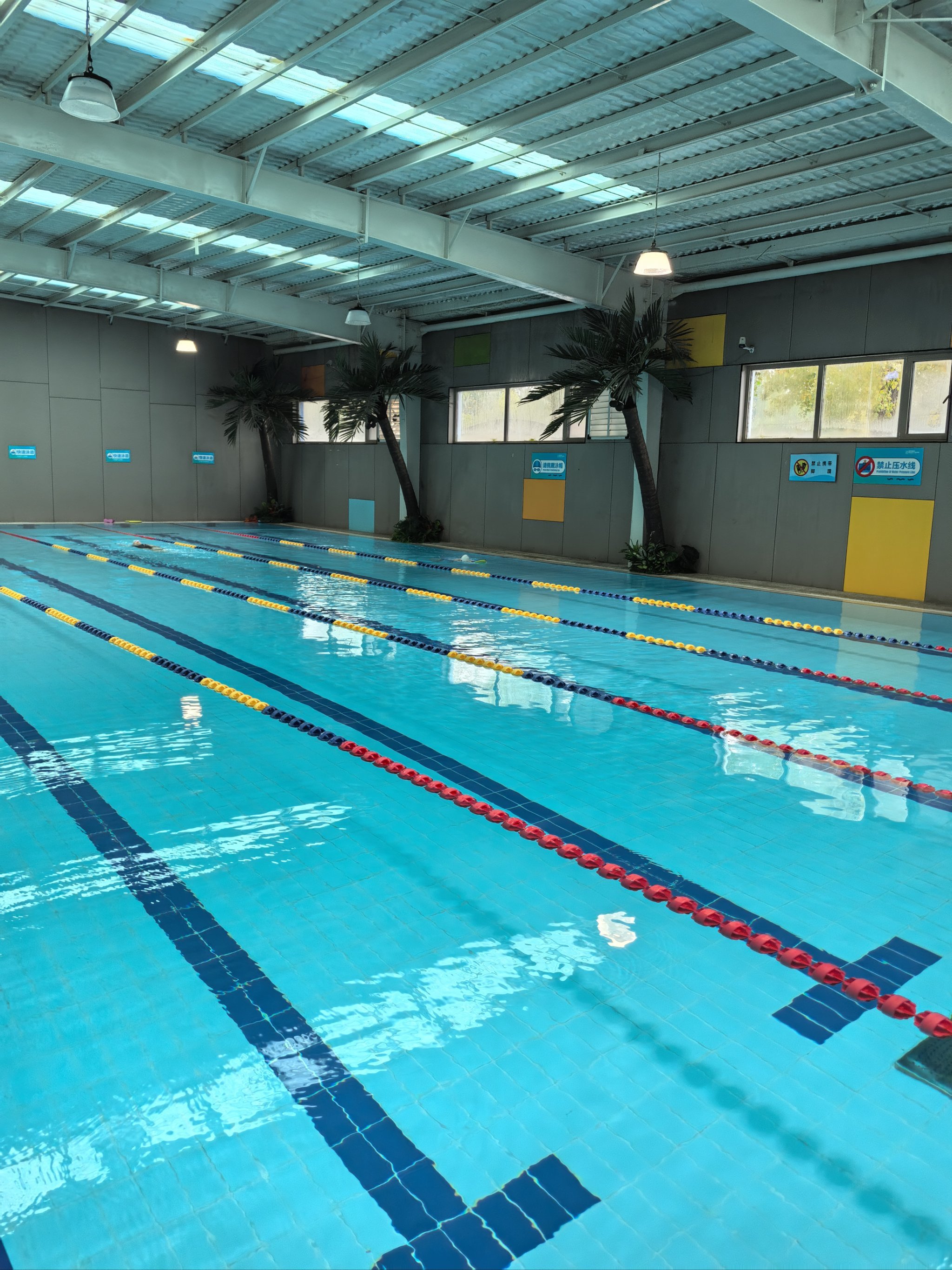 ❣️乐在水中,健身又娱乐