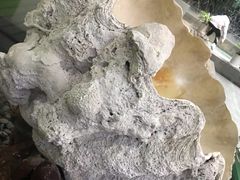 -中国湿地博物馆