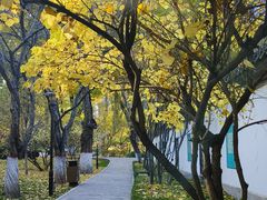 -西宁市人民公园(城西区)