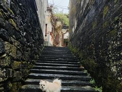 -上坦村