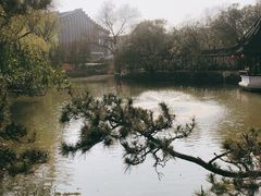 -上海醉白池公园