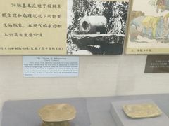 -北京中医药大学-中医药博物馆