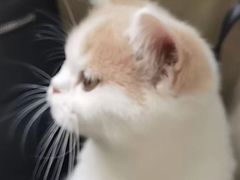 -宠颐生嘉德动物医院