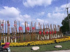 -鹅湖玫瑰文化园