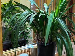 -畅和茶坊·曦瓜中国大红袍