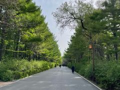 -长春市南湖公园