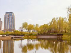 -群力丁香公园