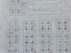 -赵汝飞练字硬笔书法(大钟寺校区)
