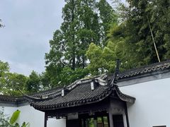 -上海醉白池公园