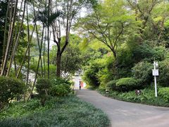 -深圳国际园林花卉博览园