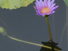 -沃尔玛购物广场(东莞凤岗中心分店)