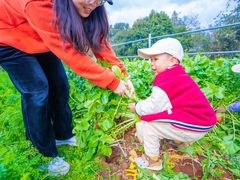 -昆明春城湖畔度假村
