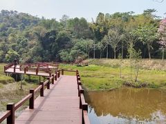 -佛山市三水区大南山森林公园