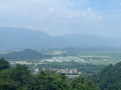 -南丹山森林王国