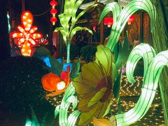 -南宫五洲植物乐园