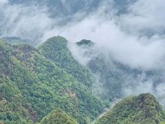 -秦岭天竺山景区