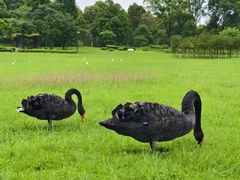 -福建鲤鱼洲酒店