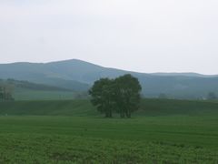 -坝上草原大汗行宫旅游景区