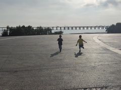 -宝安西湾红树林湿地公园