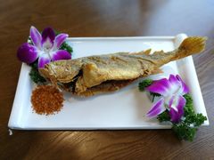-今日东坡·满庭芳(广汉店)