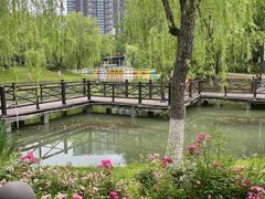 -桐乡植物园