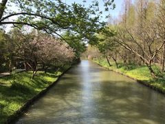 -同里国家湿地公园