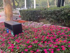 -西安市长乐公园