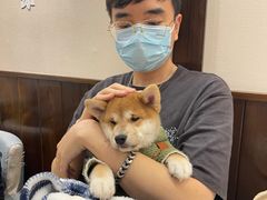 -逗柴咖啡屋·狗咖猫咖宠物桌游