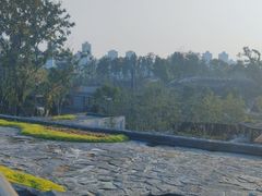 -武汉动物园