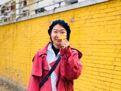 -三里屯东五街银杏大道