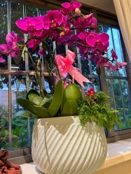 -Garden花園造型