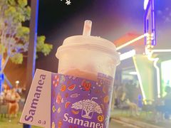 -东莞银行篮球中心