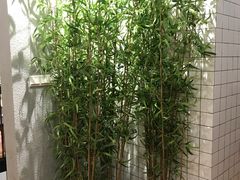 -花悦豆香