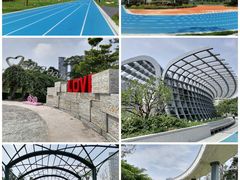 -文华公园(禅城区)