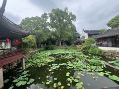 -上海醉白池公园