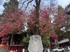 -兴教寺