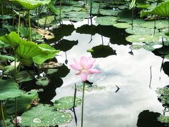 -长春市南湖公园