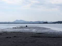 -盐洲岛