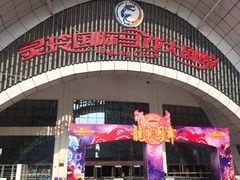 -灵玲国际马戏城